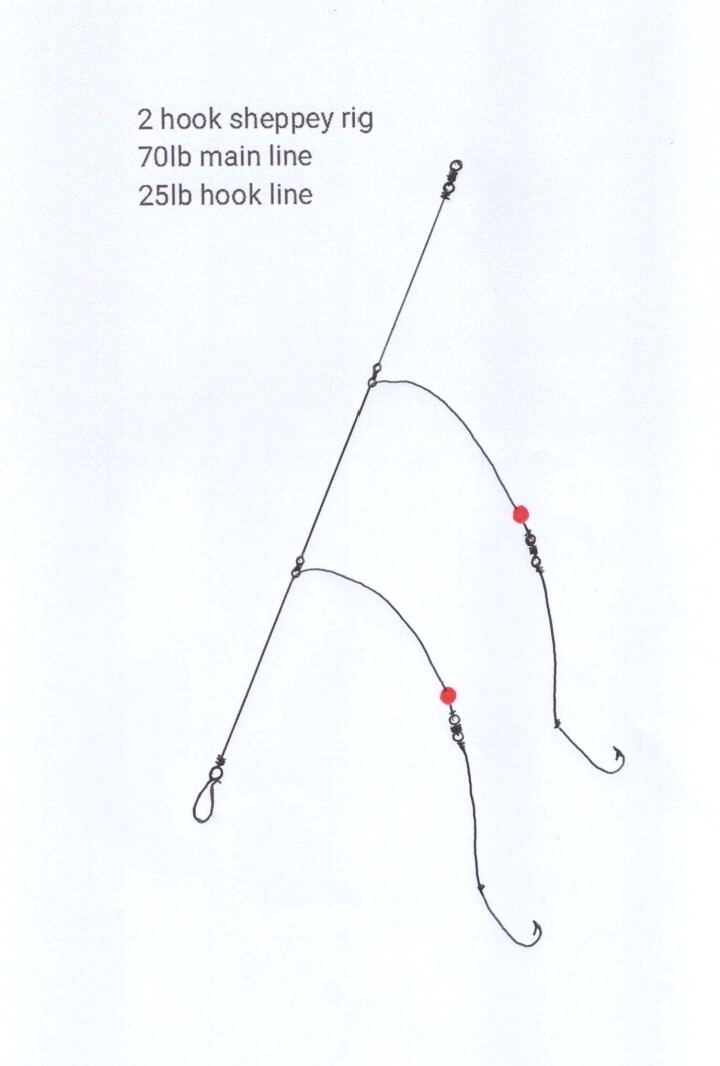 4x 2 Hook Sheppey rig 2/0 Aberdeen