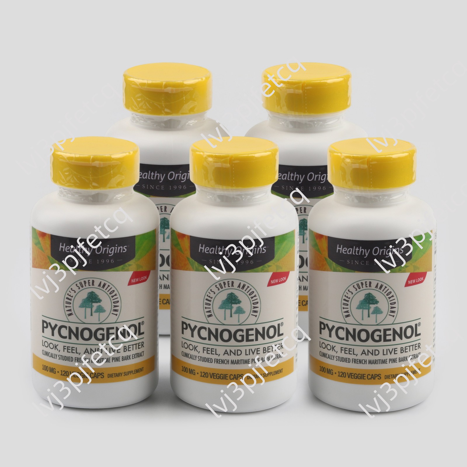 Healthy Origins Pycnogenol 100mg 120 Veggie Caps Pine Bark Supplement 5 Pack