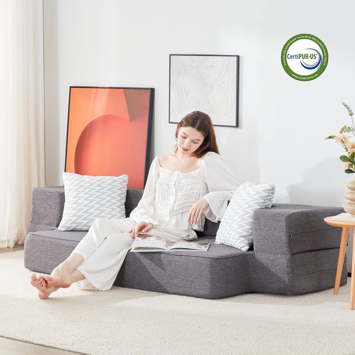 Floor Sofa Bed, Convertible Sleeper Lounge Couch Folding Mattress with 2 Pillows