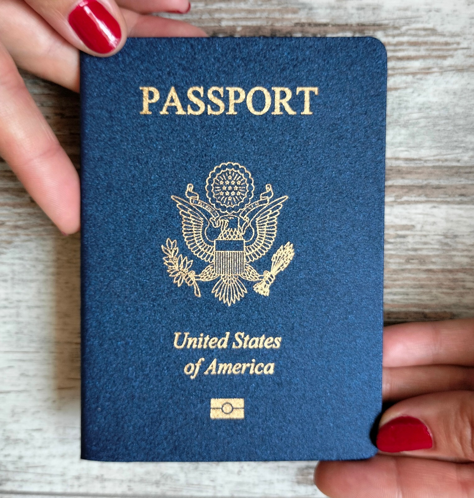 US passport prop original size. Travel American passport-notebook. Play passport