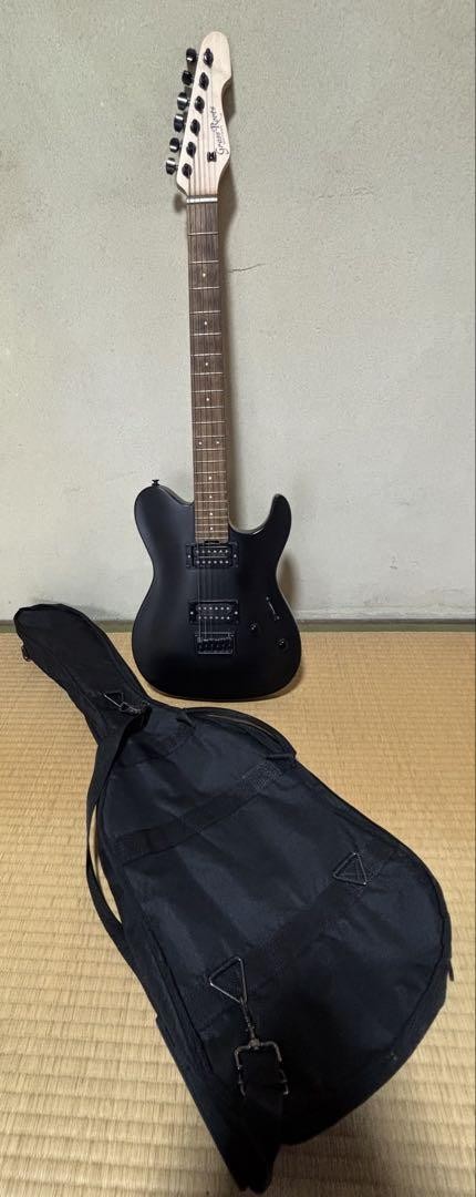 GrassRoots Electric Guitar Safe Packing!