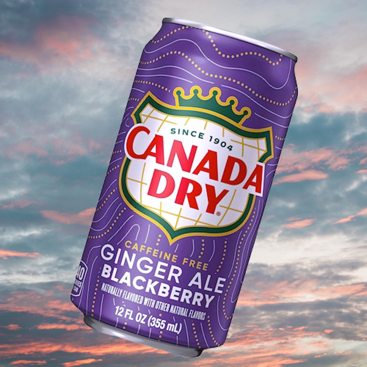 Canada Dry Limited Edition🍇Blackberry Ginger Ale 12oz.can