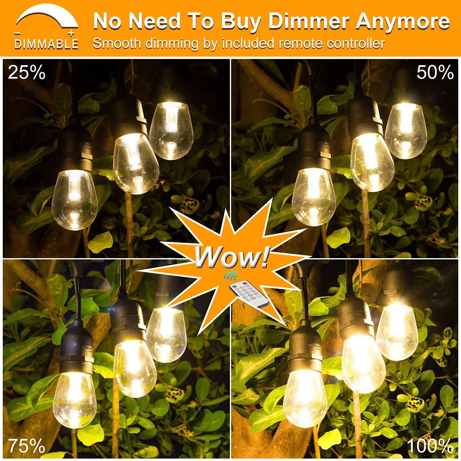 3 Color Outdoor LED Dimmable String Lights for Patio with Remote, Plug in 48FT