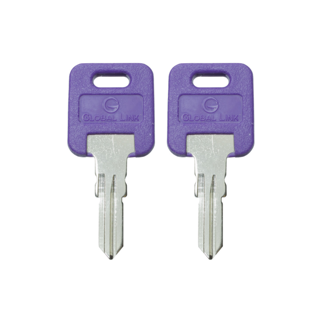 1 Pair (2 keys) Global Link Precut Key to code G335 RV Trailer Camper Keys