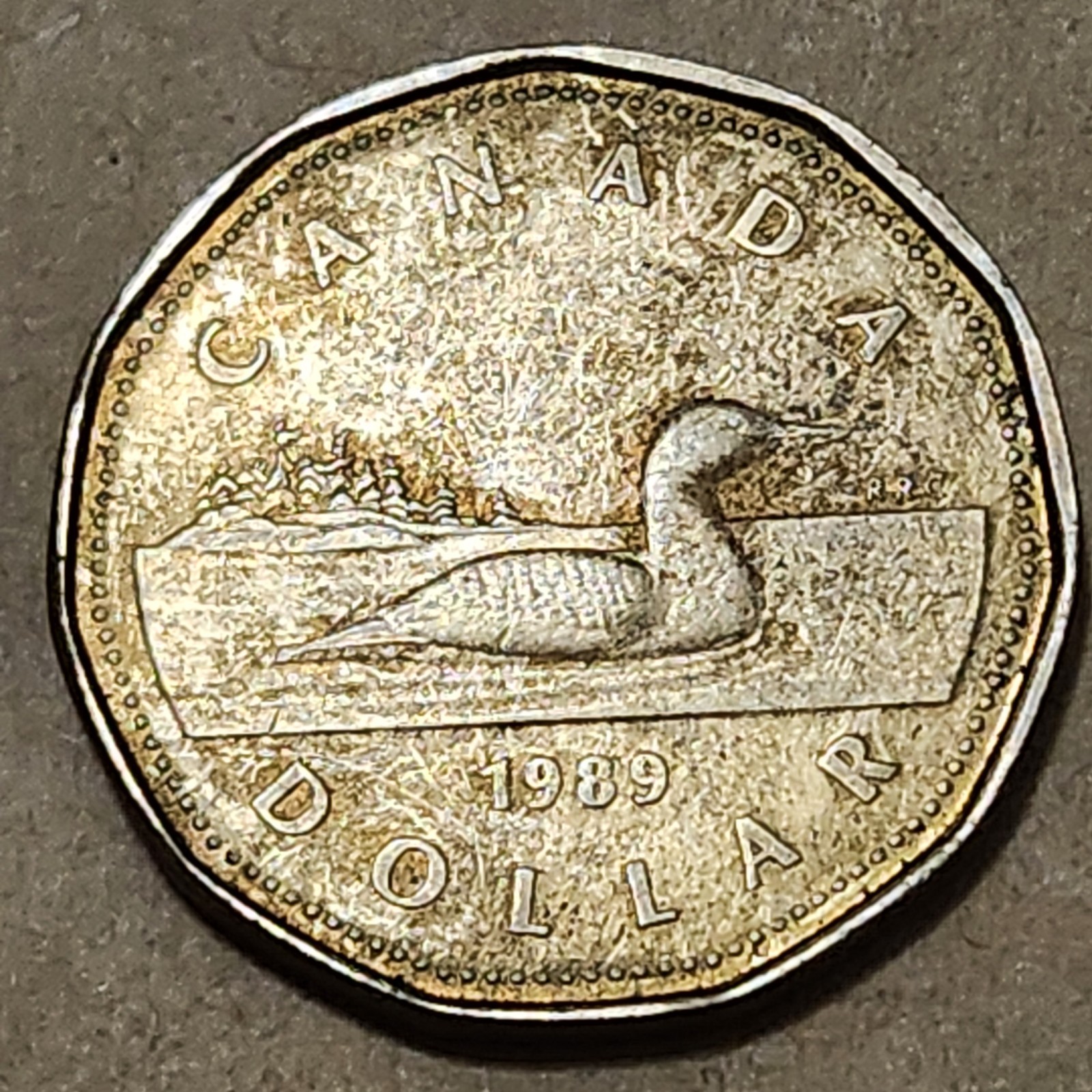 CANADA 🇨🇦 ONE (1) DOLLAR COIN 1989 (QUEEN ELIZABETH II)