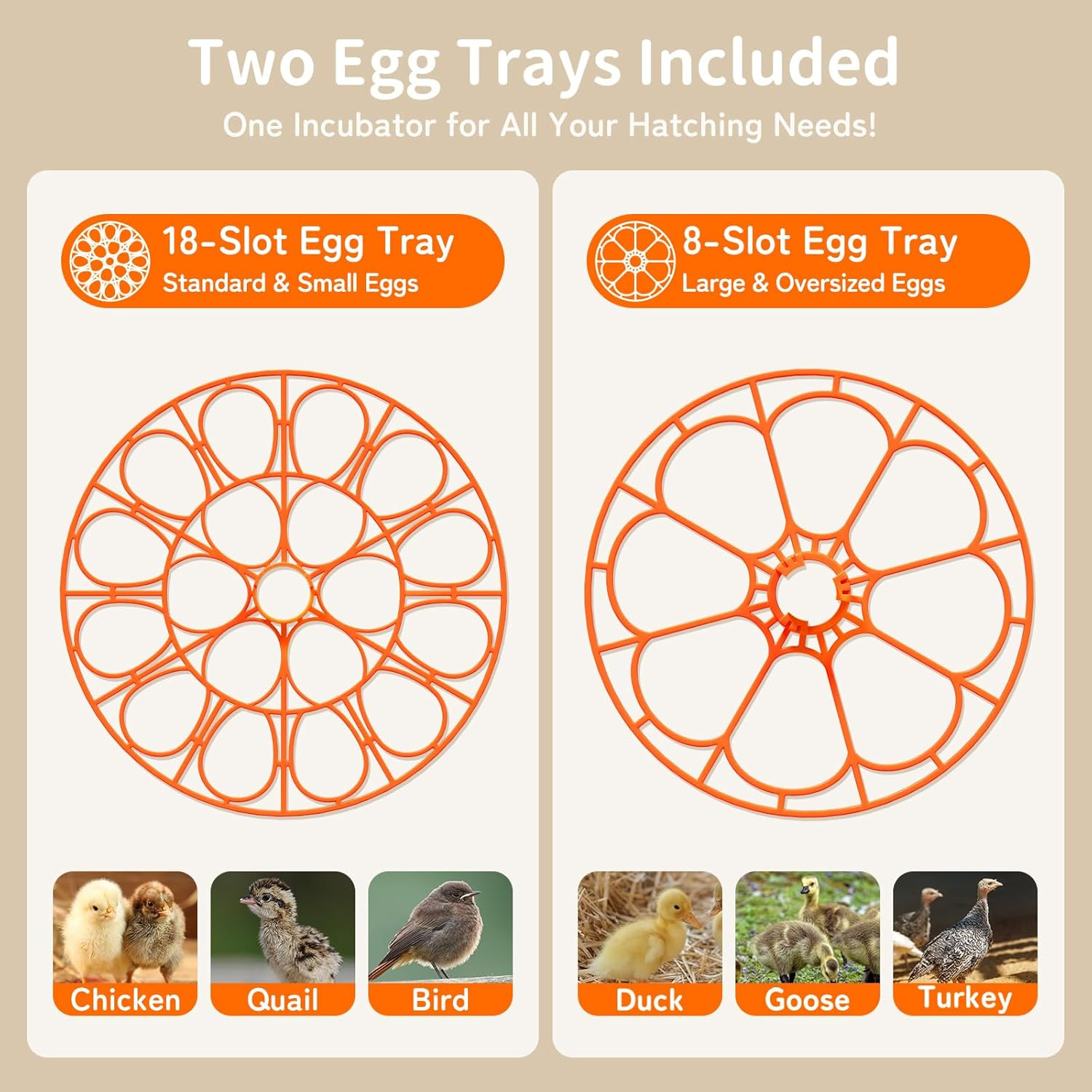 Egg Incubators for Hatching Eggs, Temperature and Humidity Control, Automatic Eg