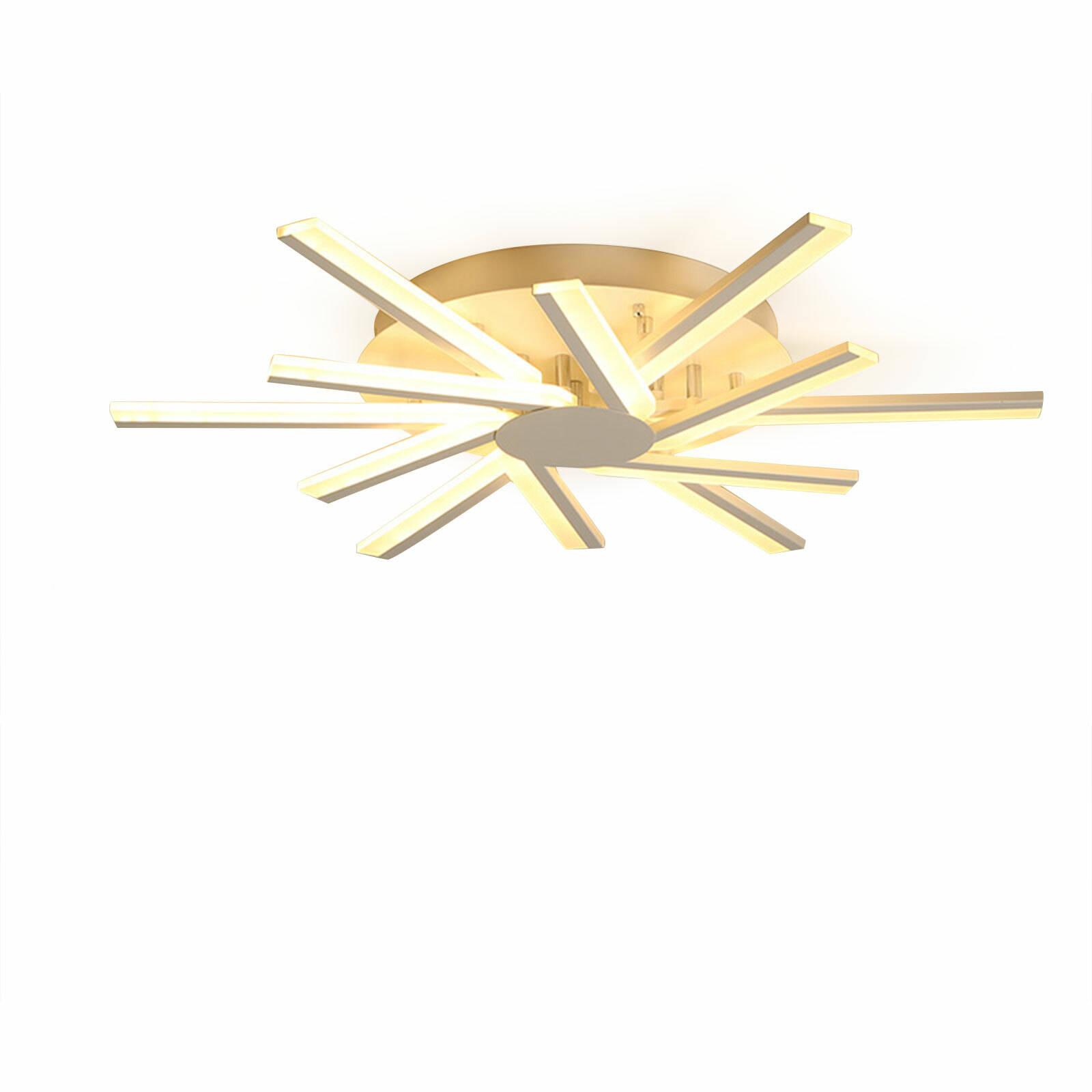 Modern Ceiling Light LED Dimmable Pendant Lamp w/Remote Controller & 12 Lights~~