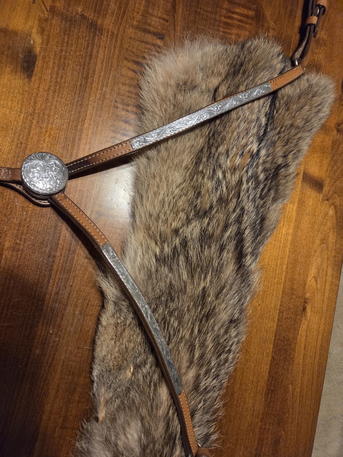 Circle Y Western Pleasure Silver Platef Bridle And Breast Collar Tack Set (NEW)