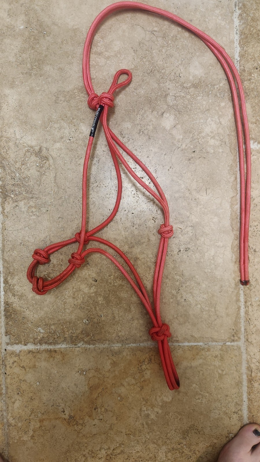Knotty Girlz Horse Halter Pink Average Size Horse Tack