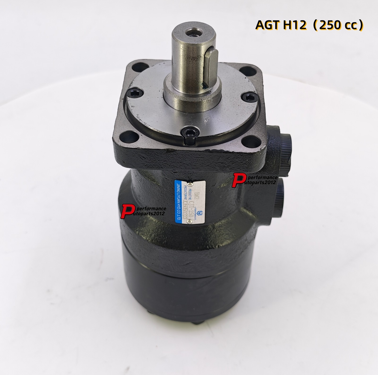 Brand New For AGT H12/QH12 Excavators Hydraulic Orbital Motor 250 cc