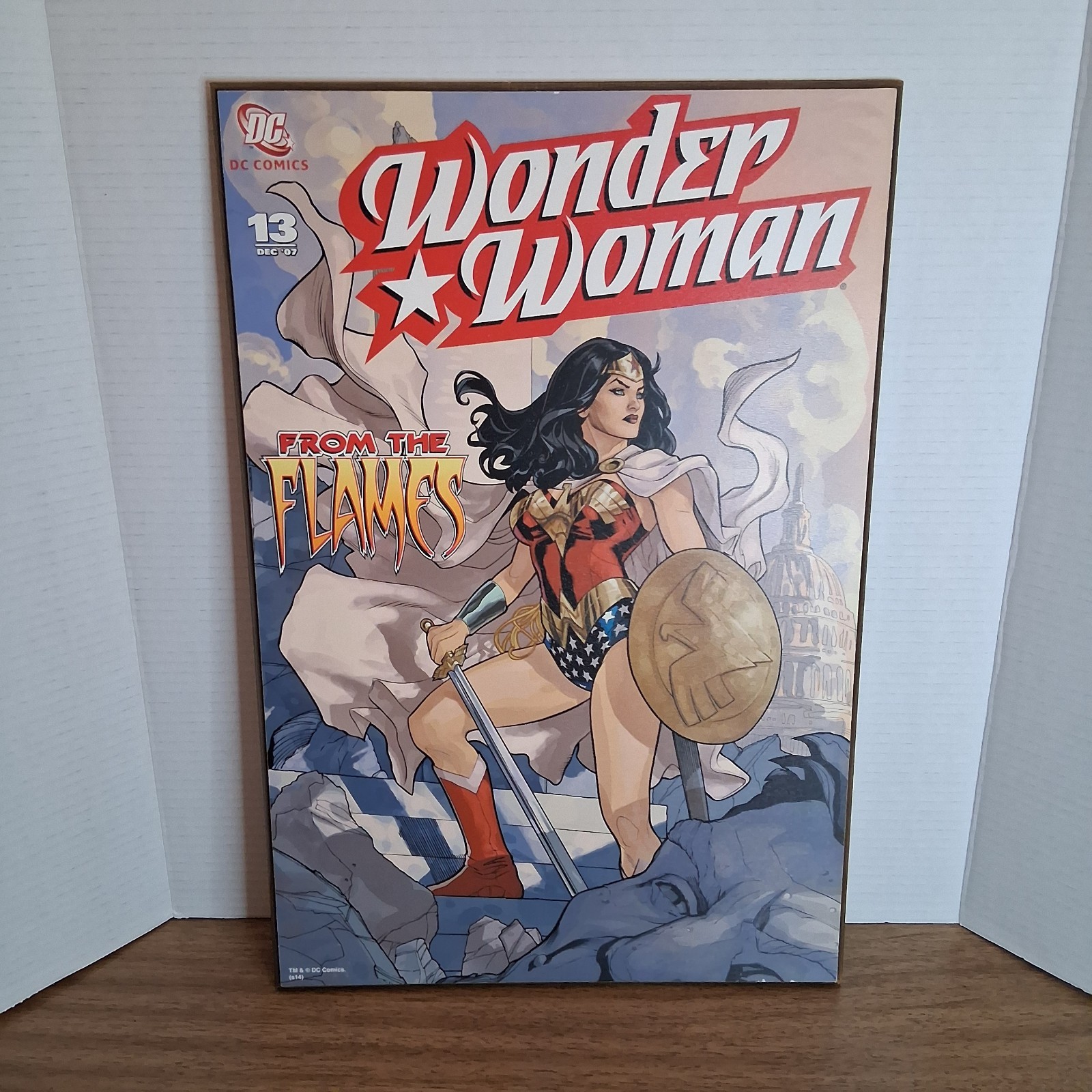 Wonder Woman Art Wall Plaque 19x13