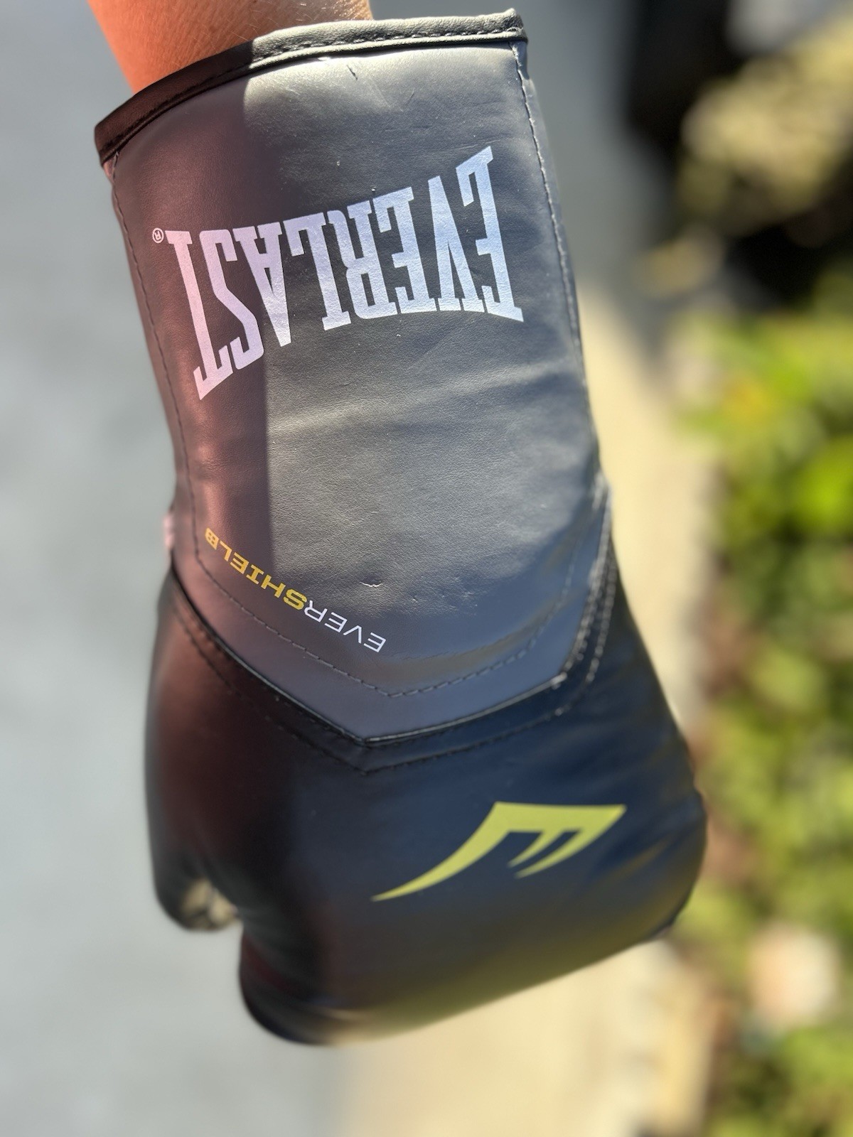 Everlast Training Boxing Gloves Pro Style Elite Evershield 16 Ounces Black Gray