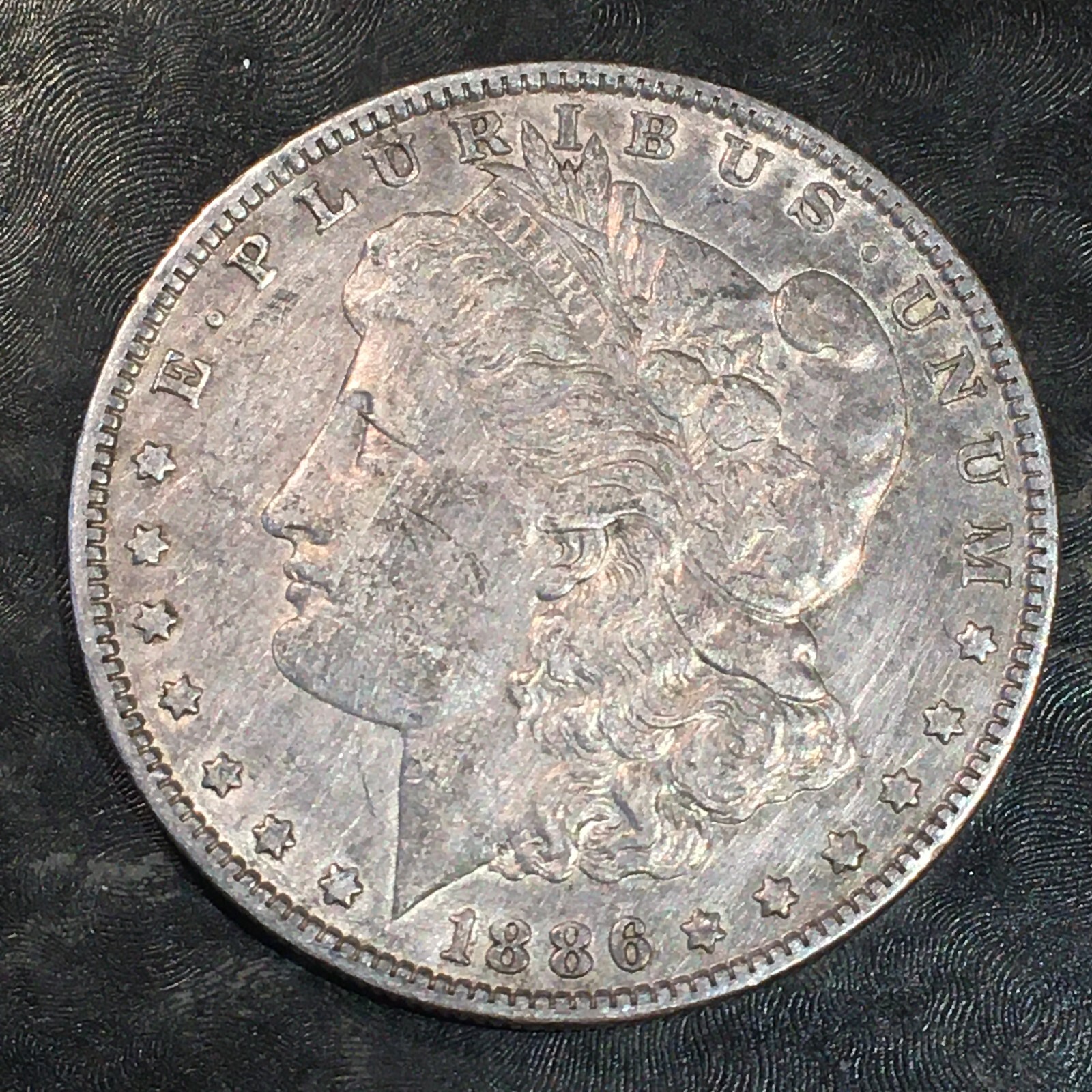 1886-O Morgan Dollar - High Quality Scans #N536