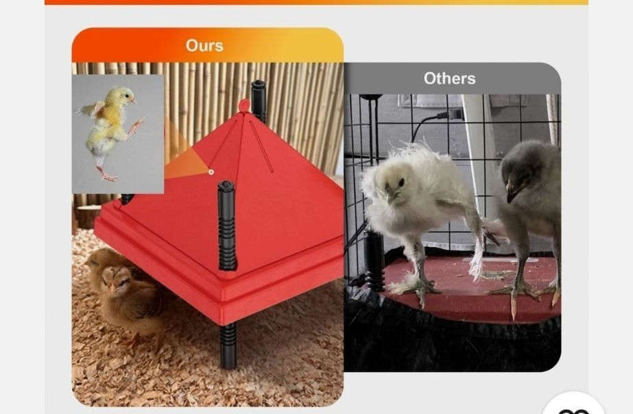 Brooder Plate Anti-Roost Cone Chicks Adjustable Chicken Brooder Heater Red