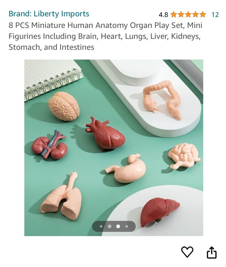 Aerospace Architecture: 8 Pcs Mini Human Anatomy
