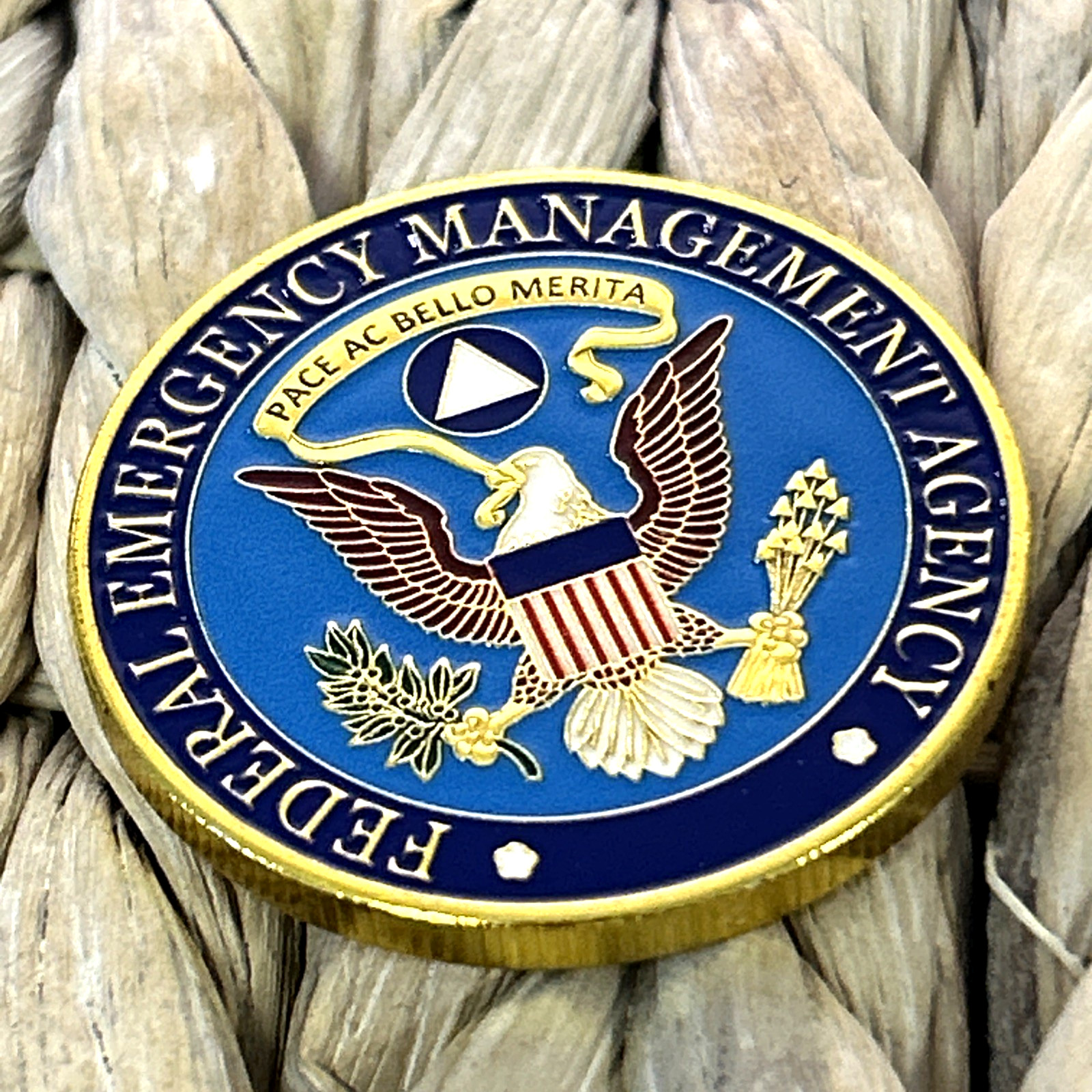 FEMA Challenge Coin United States Federal Emergency Management Agency