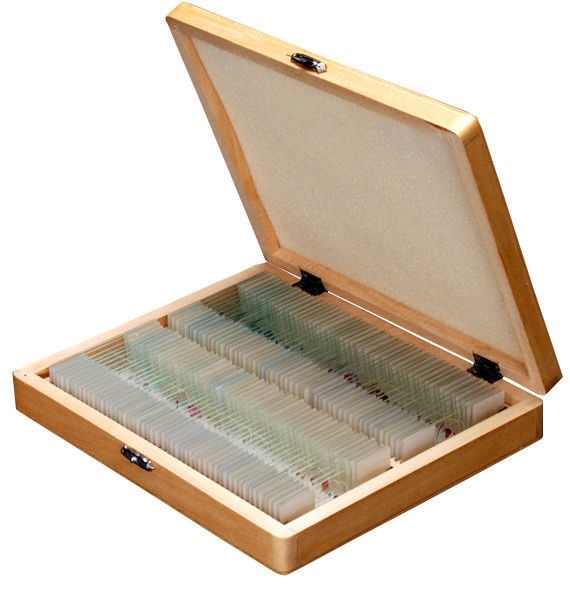 AmScope PS100D 100 Anatomy Botany Prepared Microscope Slides - Set D