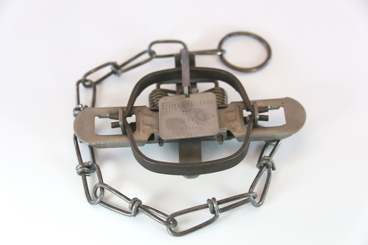 6 Each Wolf Creek Eliminator #1 Coil Spring Trap for Mink, Coon & Rats