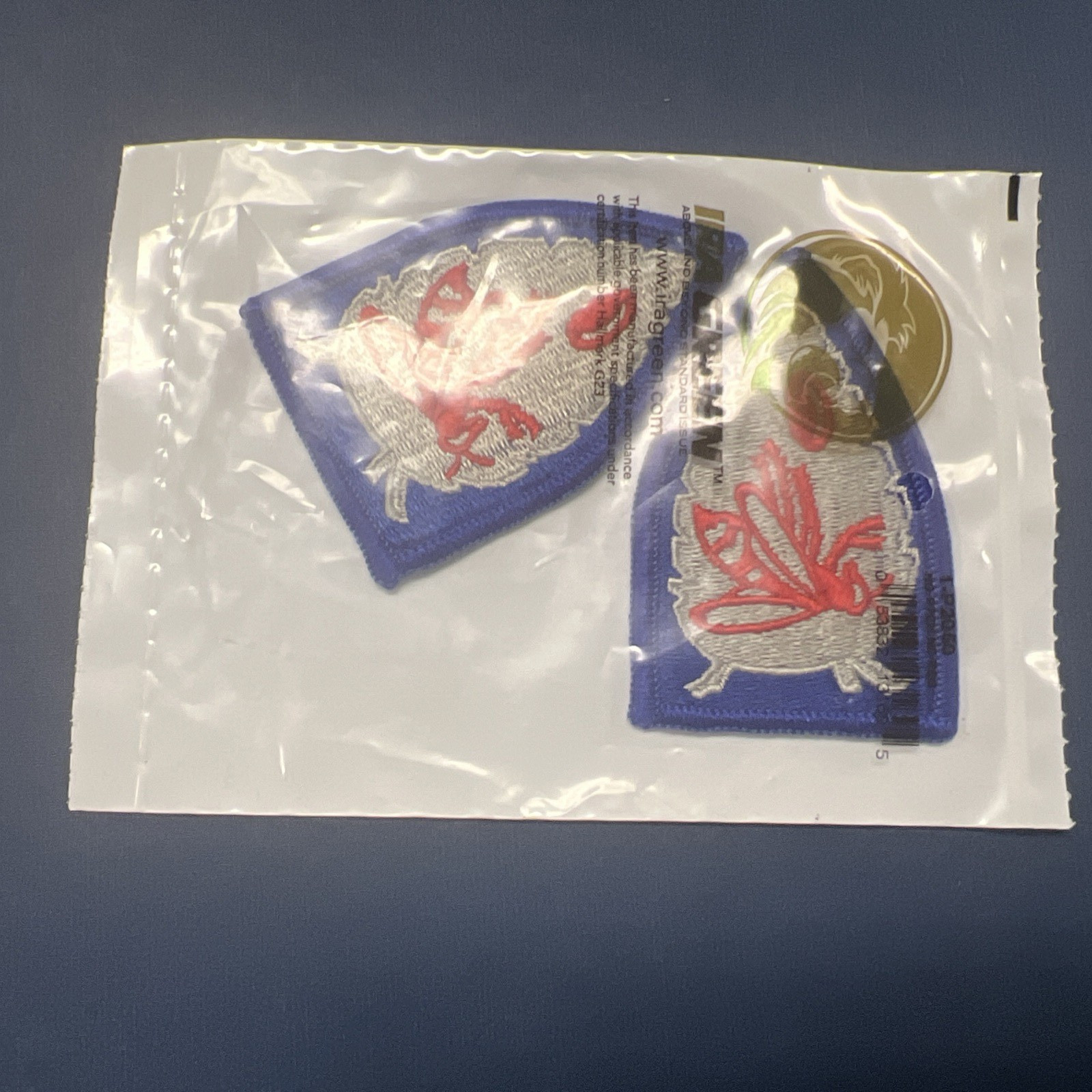 North Carolina National Guard Patch #21