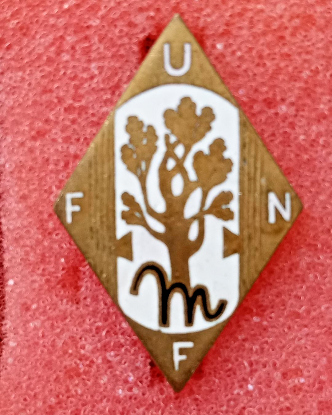 Italy. WW II. Fascist Union of Large Families Membership pin.