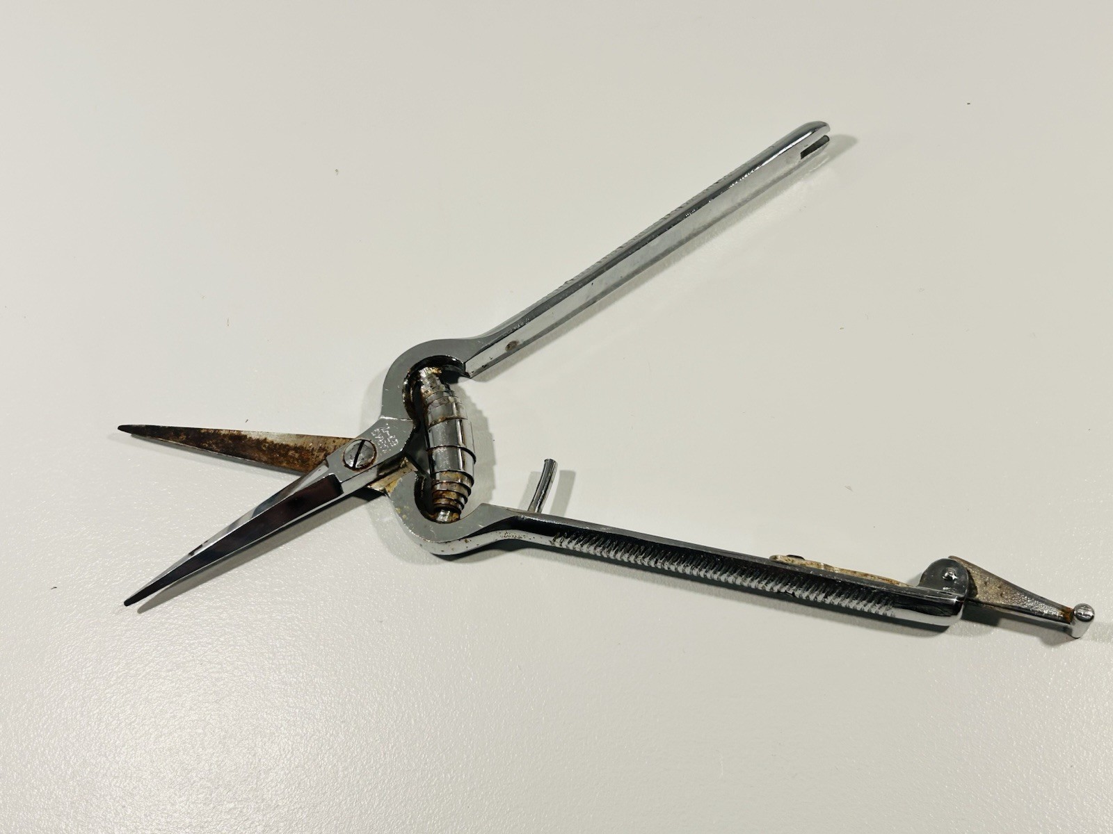 Vintage Japanese Poultry Shears Spring Hinge Kitchen Scissors