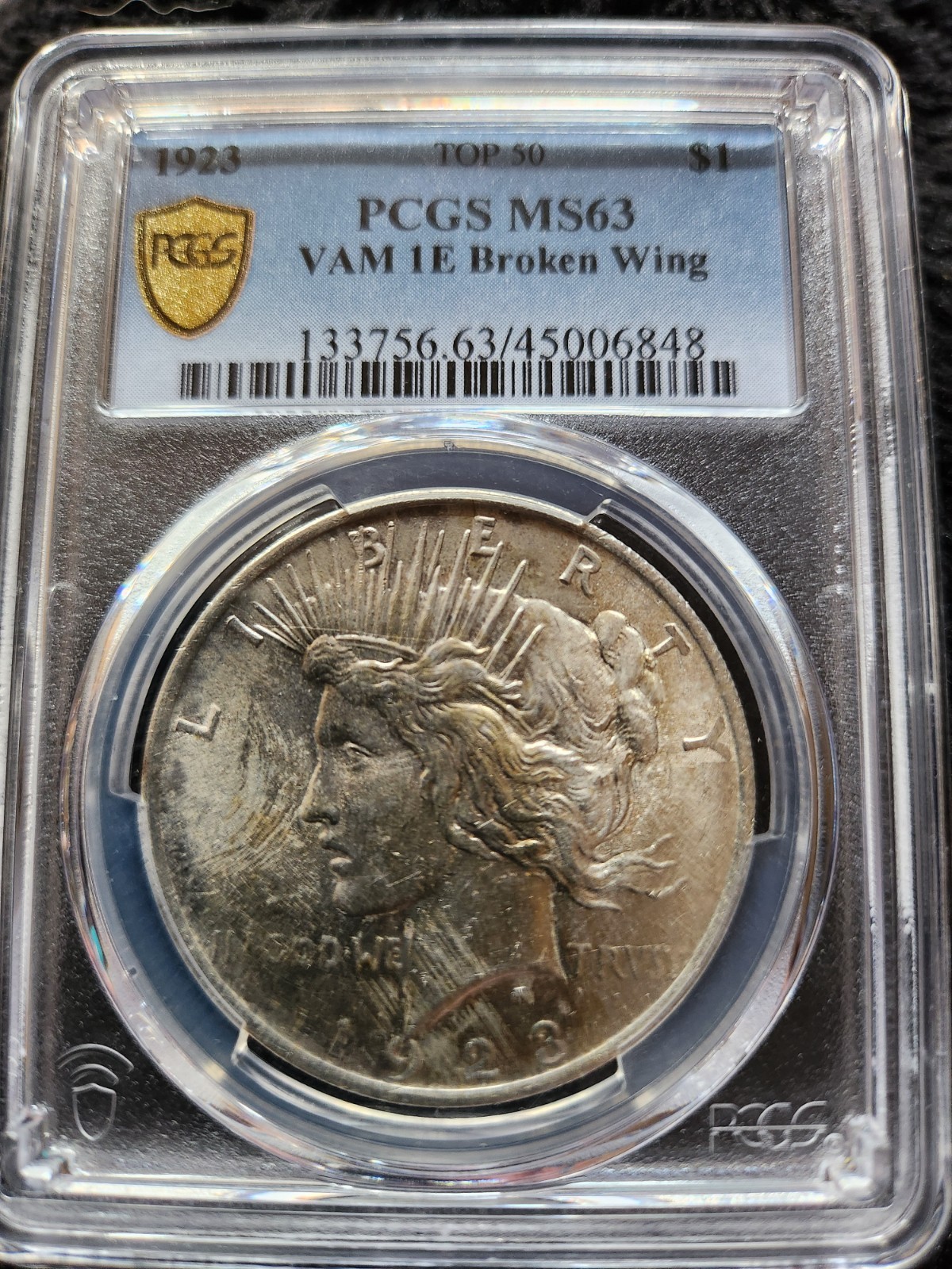 1923 PCGS MS 63 VAM 1E Broken Wing Toned