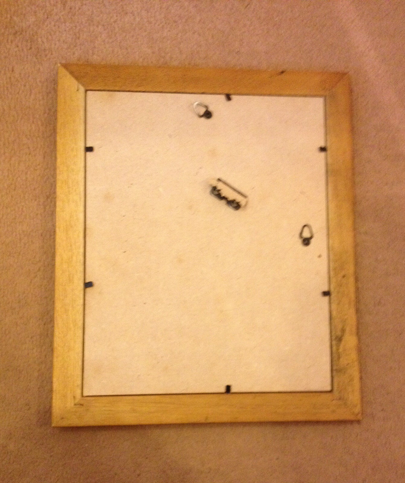 Wolf Original Drawing Framed