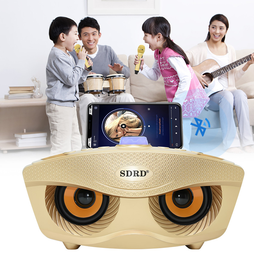 NEW Wireless Bluetooth Karaoke Speaker System 2 Microphone for KTV