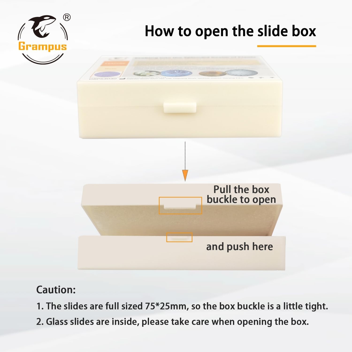 30 Prepared Microscope Slides Set - Specimens for Kids, Students, Science Lab, B