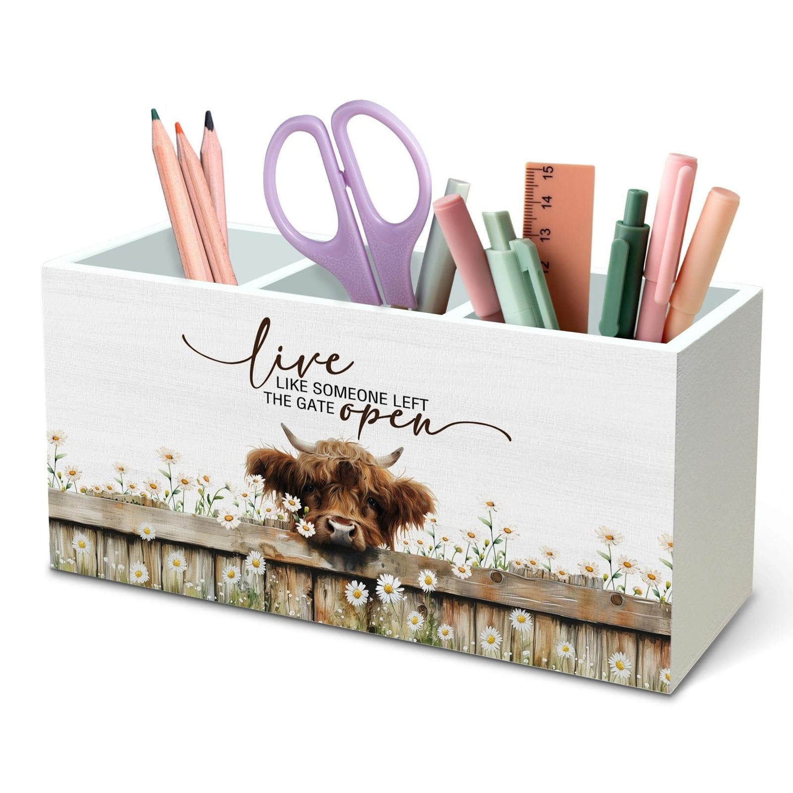 Inspirational Highland Cow Pen Pencil Holder Organizer for Desk, Highland Cow...