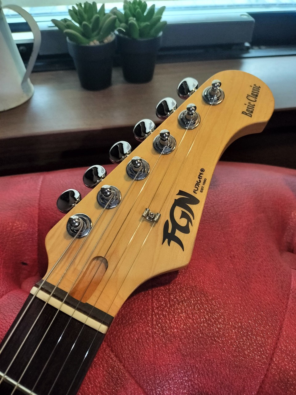 FUJIGEN FGN BCST100
