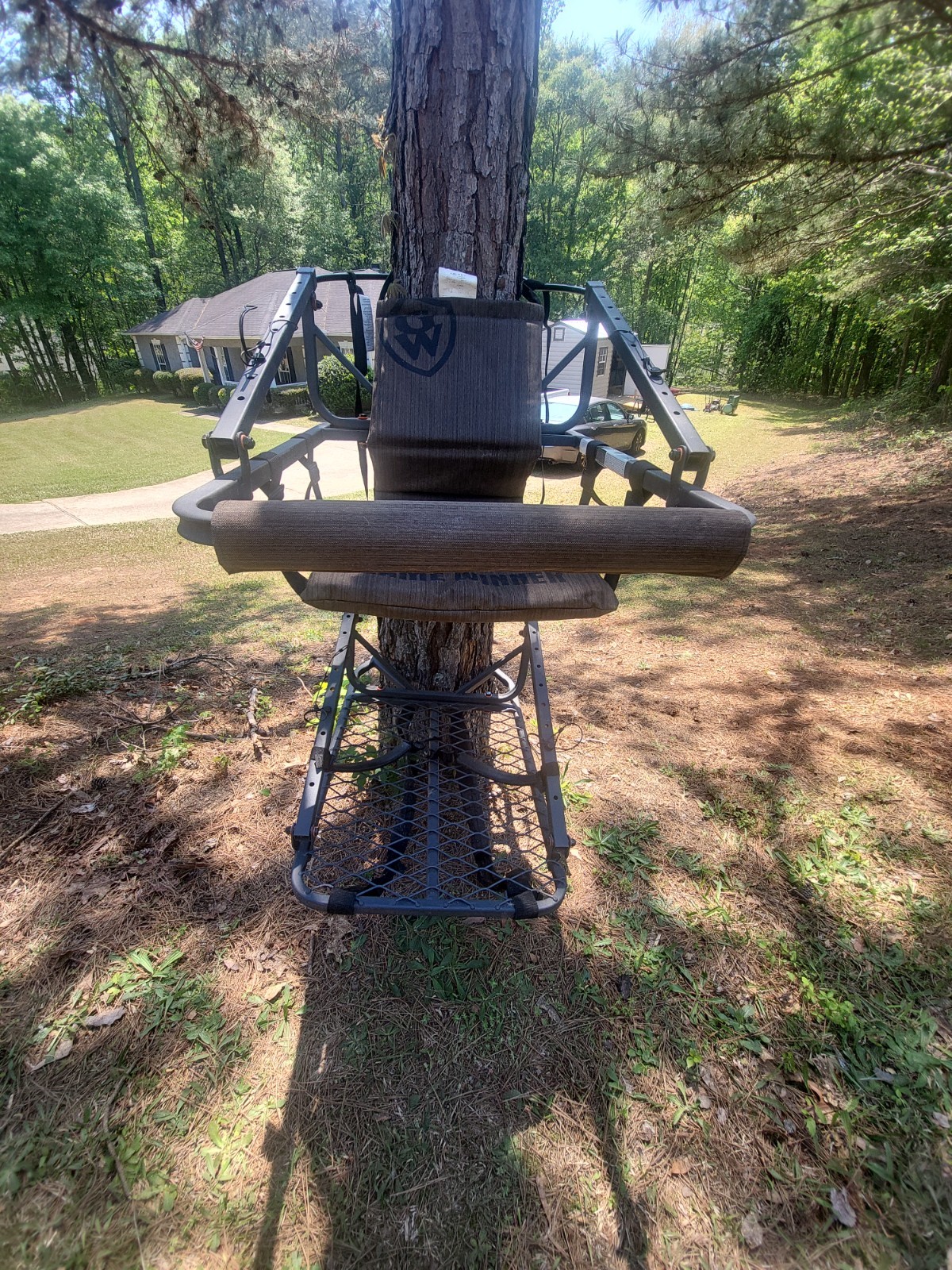 climbing tree stands hunting