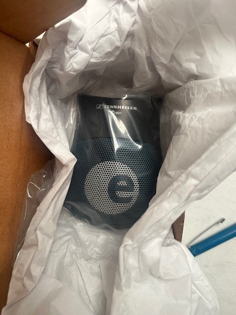 SENNHEISER E901