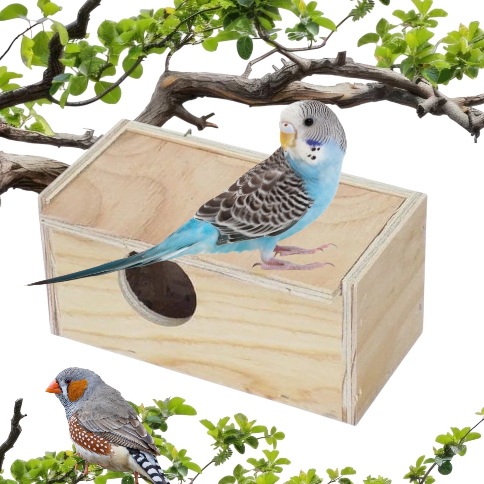 Wood Nest Box Ideal For Finches, Parakeets and Other Small Birds . Parakeet Nest