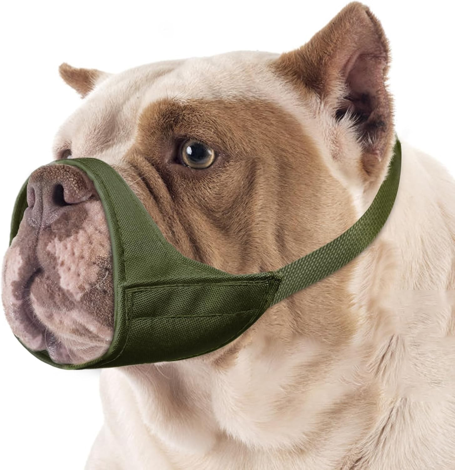 Short Snout Dog Muzzle Small Muzzle Chihuahua Shih Tzu American Bully Boxer