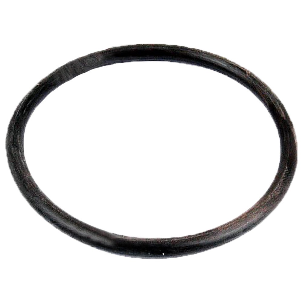 K623542 3761474M1 Hyd Lift Piston O-Ring Fits Massey Ferguson 3761477M1 252820