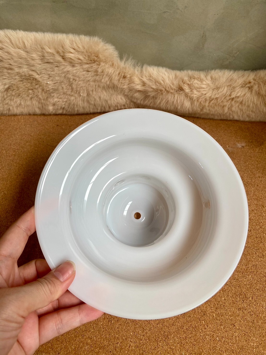 Ventilator for Coleman #237 heat resistant borosilicate glass