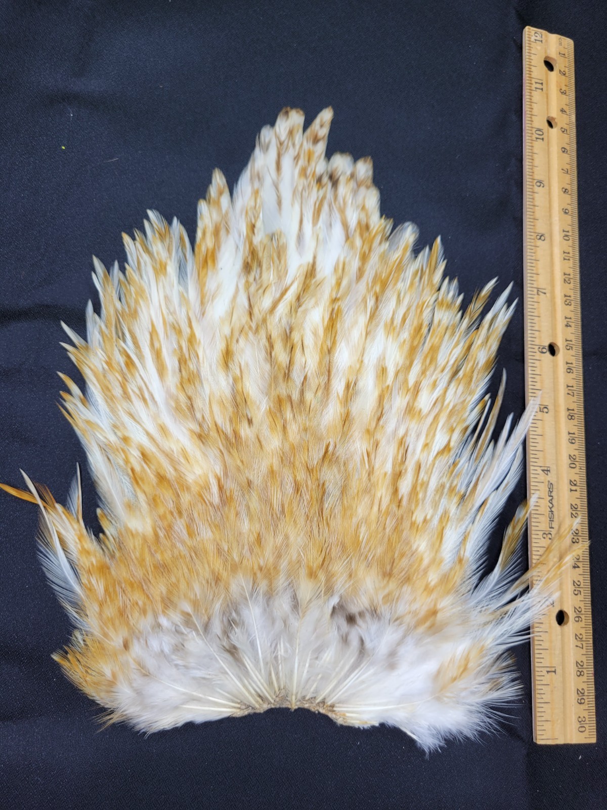 Lot  83,  Grade A,   Natural India Rooster Saddle Feathers for Fly Tying Jewelry