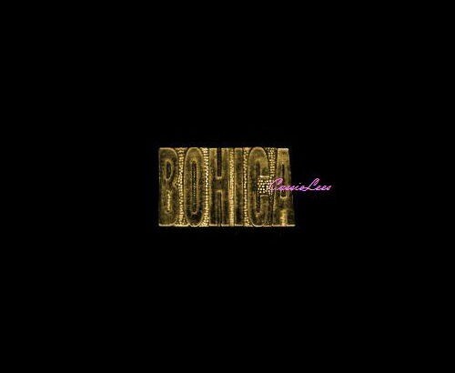 BOHICA script + a custom promo pin