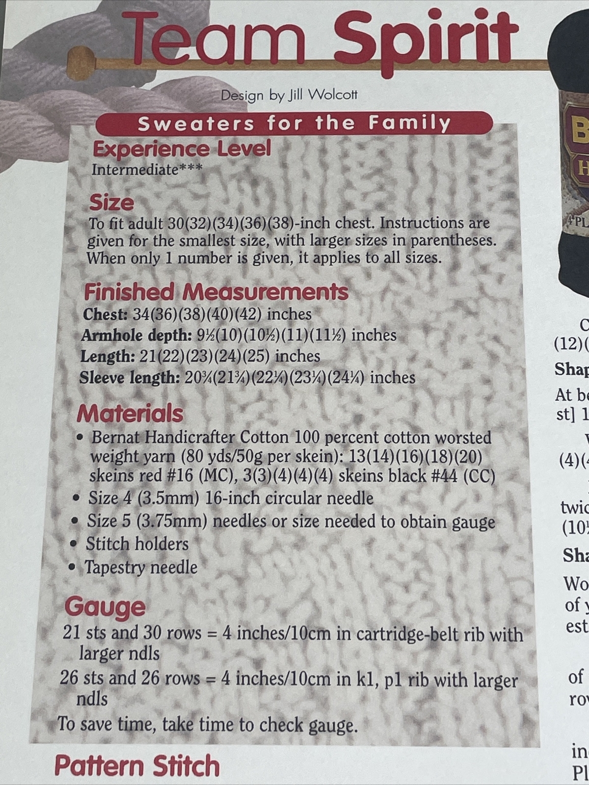 Team Spirit Sweater Adult Size S M L Knitting Pattern House of White Birches