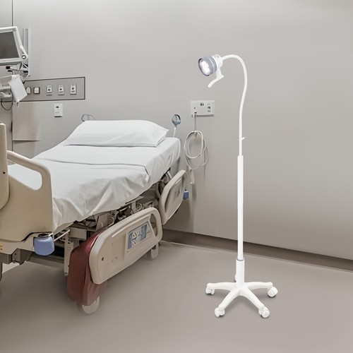 Exam Lamp Oral Auxiliary Light Five-Legged Medical Surgical Examination Light