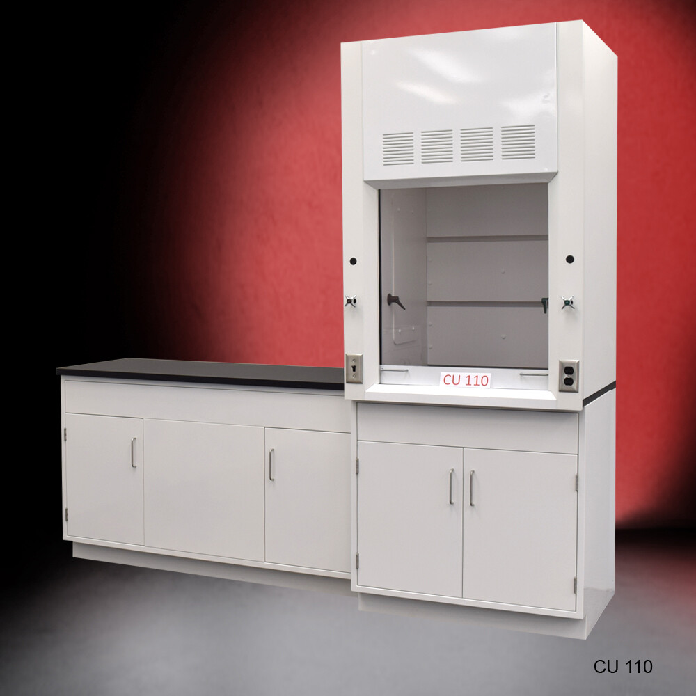 Fisher American 3' Fume Hood w/ General Storage &5' Laboratory Cabinet / E2-256