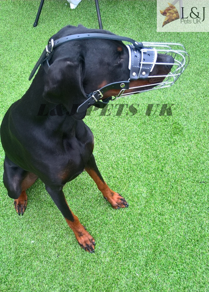 New Strong  Metal Wire Basket Dog Muzzle for Doberman , Malinois and Other Dogs