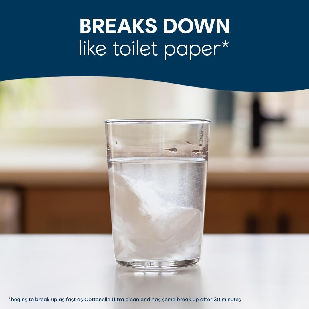 Flushable Wet Wipes Aloe