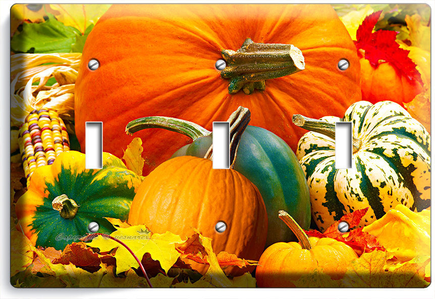 PUMPKINS SQUASH HARVEST TRIPLE LIGHT SWITCH WALL PLATE COVER KITCHEN DINING ROOM
