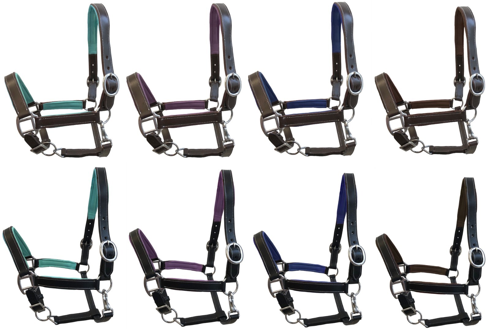Equitem Color Padded Crown and Nose Leather Halter w SS Hardware Full or X Full