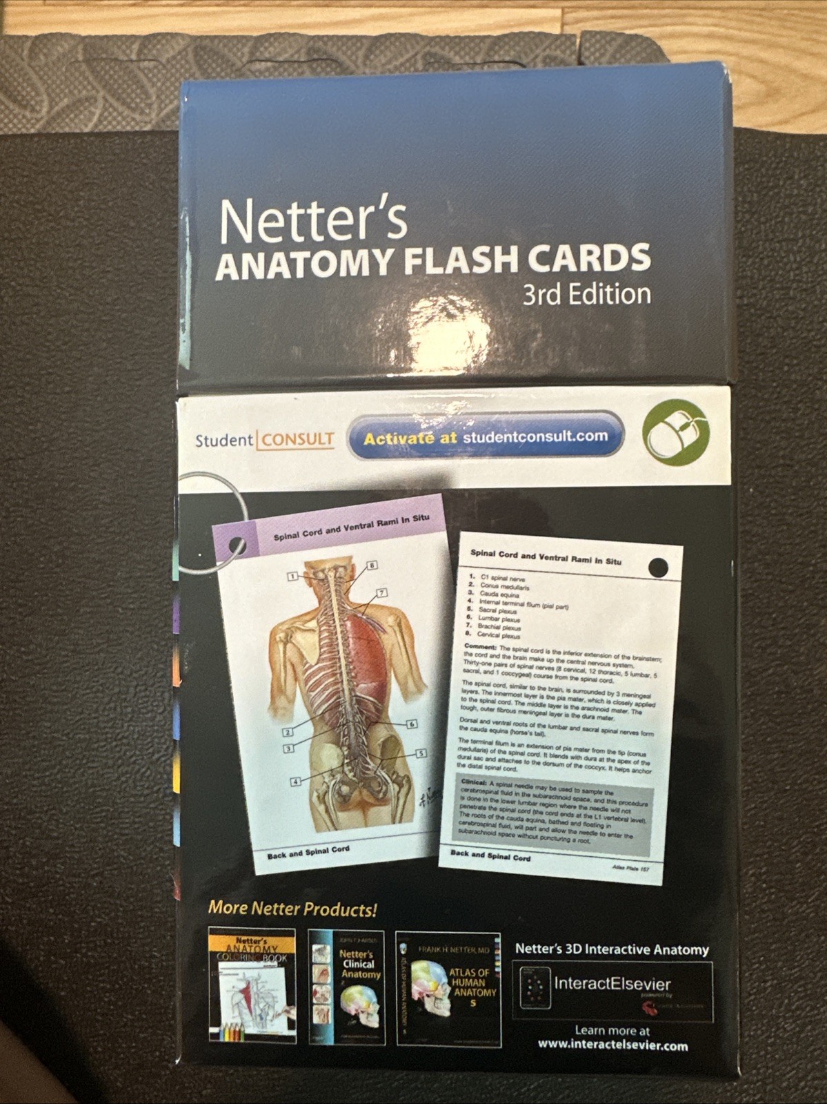 Netter's Anatomy Flash Cards 3rd Edition