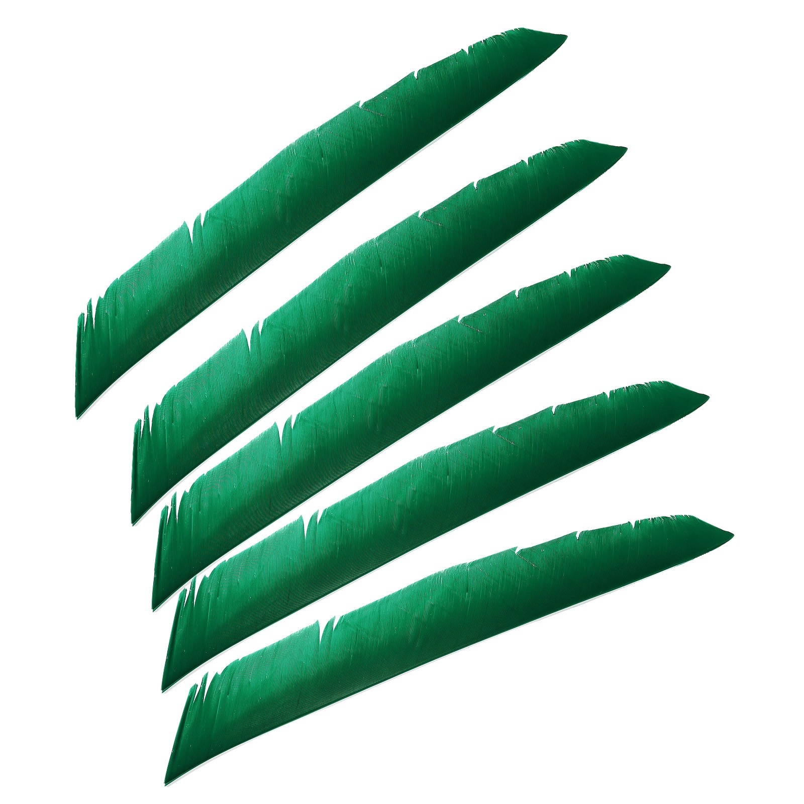 50pcs Arrows Vanes 11 Inch Turkey Feather Arrow Fletching Right Wing, Green