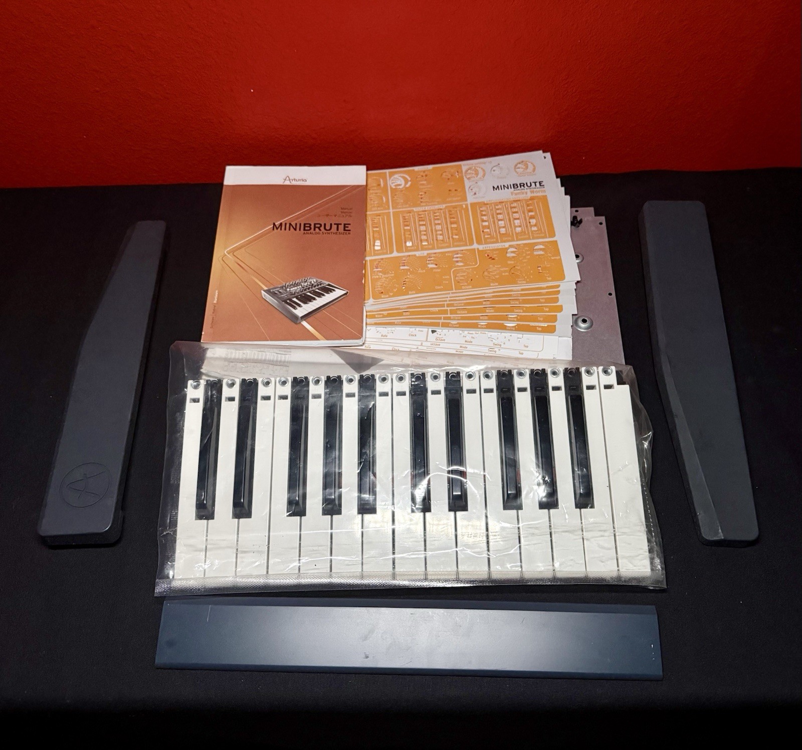 Arturia MiniBrute SkiniBrute Desktop Mod + Original Parts & Extras RARE Synth