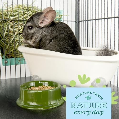 Oxbow POOF! Chinchilla Dust Bath,100% Natural Blue 2.5 Pound (Pack of 1)